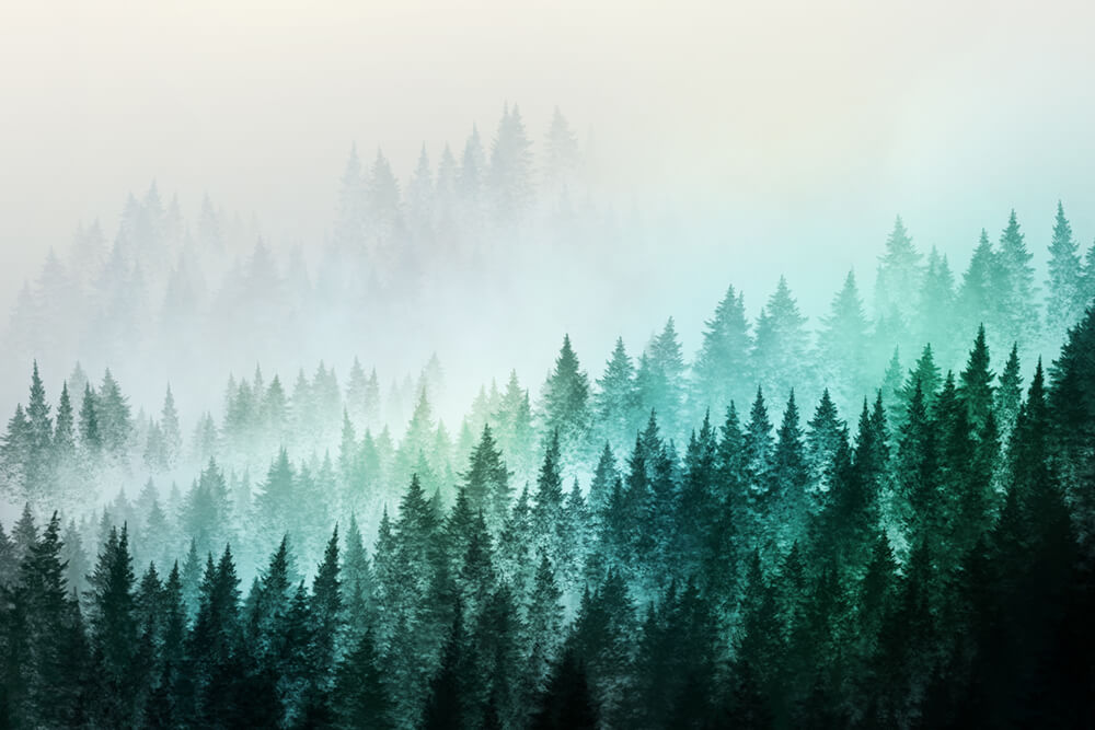 Акварельный лес в тумане (ширина: 4000 мм, высота: 2800 мм, количество полос: 4)