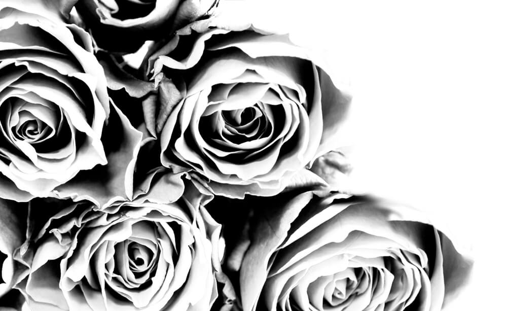 Черно-белые розы (ширина: 4000 мм, высота: 2800 мм, количество полос: 4)