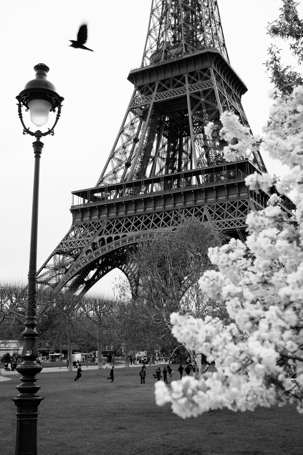 Черно-белый Париж (ширина: 2000 мм, высота: 2800 мм, количество полос: 2)