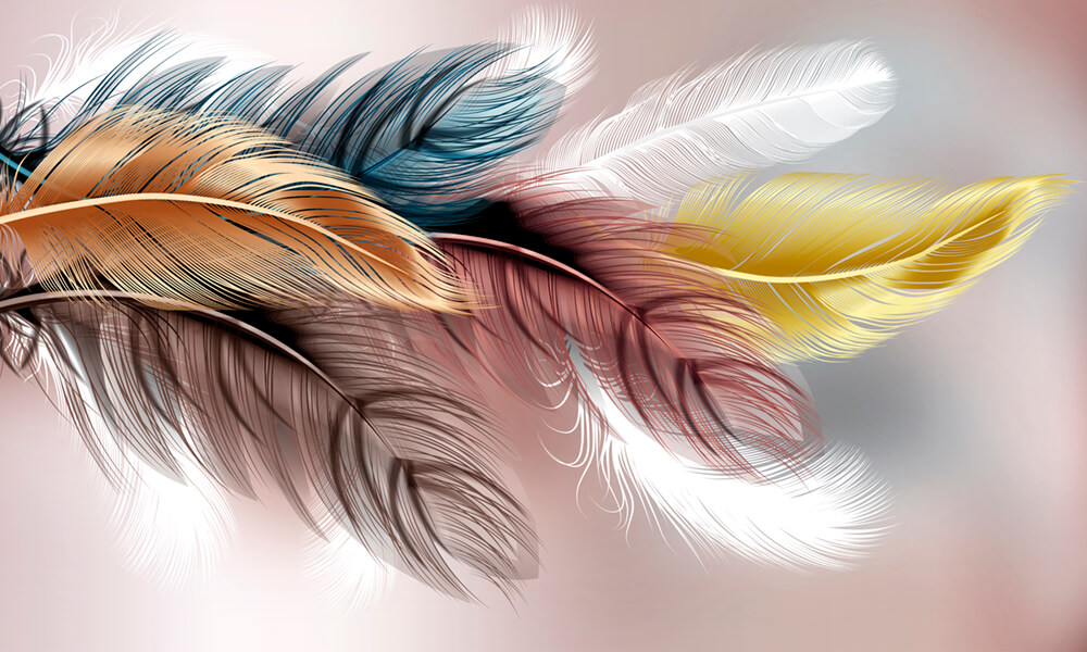 Цветные перья (ширина: 4000 мм, высота: 2800 мм, количество полос: 4)