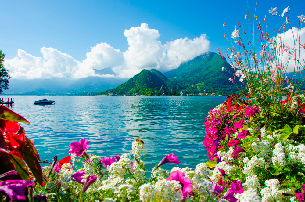 Цветы у озера (ширина: 4000 мм, высота: 2800 мм, количество полос: 4)