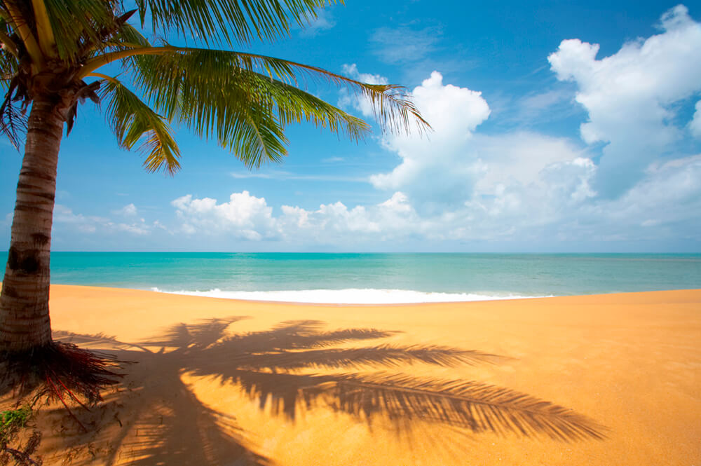Идеальный пляж (ширина: 4000 мм, высота: 2800 мм, количество полос: 4)