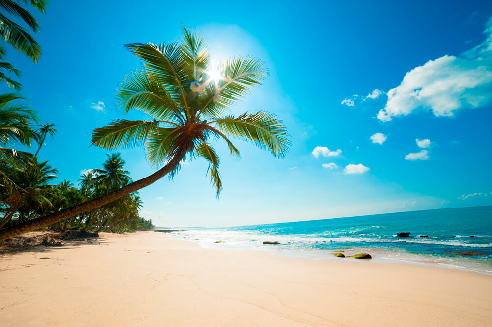 Кокосовый пляж (ширина: 4000 мм, высота: 2800 мм, количество полос: 4)