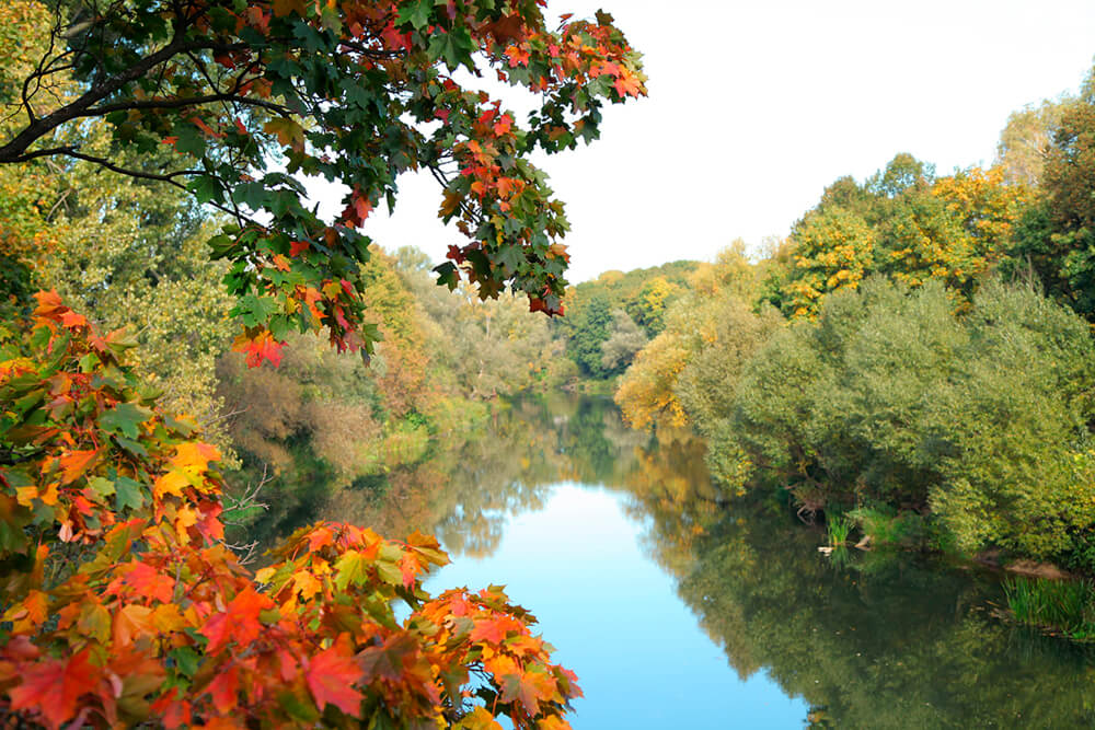 Осень над рекой (ширина: 4000 мм, высота: 2800 мм, количество полос: 4)