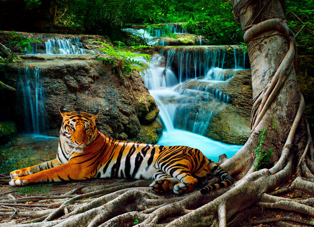 Тигр у водопада (ширина: 4000 мм, высота: 2800 мм, количество полос: 4)