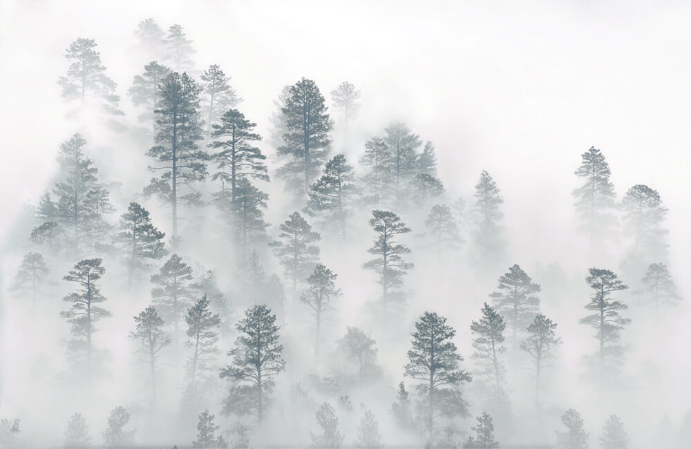 Верхушки деревьев над туманом (ширина: 4000 мм, высота: 2800 мм, количество полос: 4)