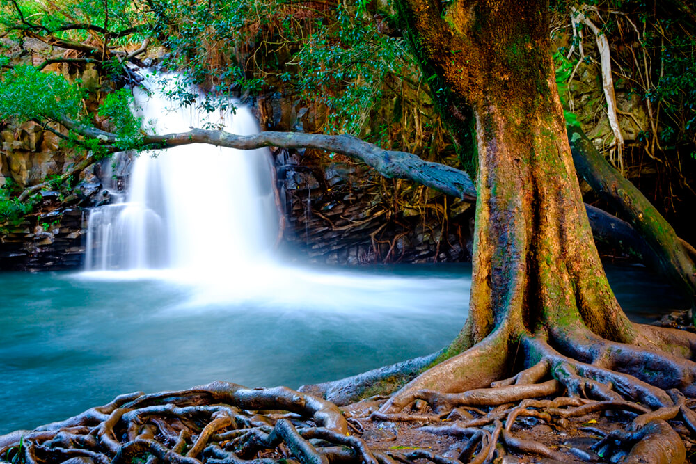 Водопад в Мауи (ширина: 4000 мм, высота: 2800 мм, количество полос: 4)